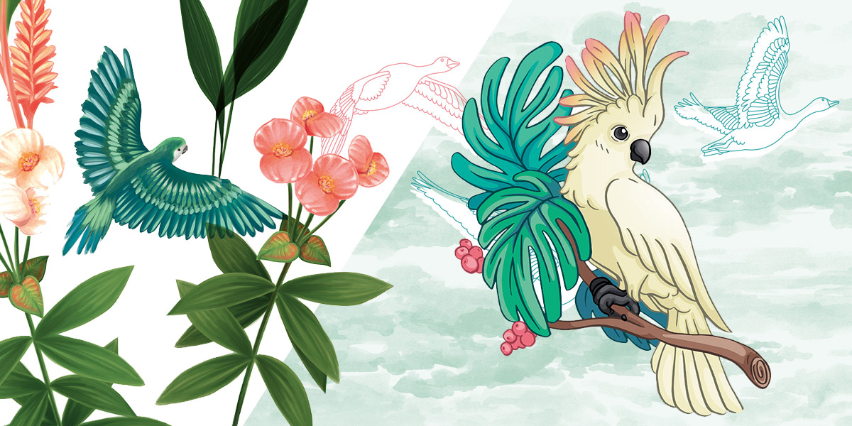 Sommerakademie - Kurs Digitales Illustrieren - Vögel