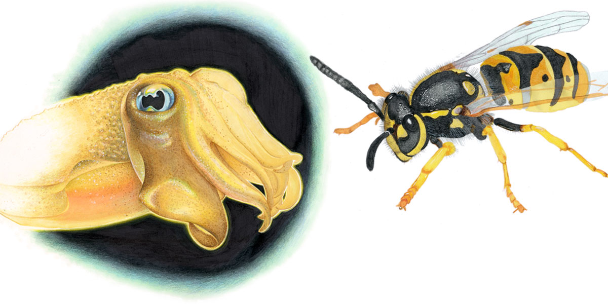 Gaststudium Scribble- und Markertechniken Ralf Butschkow