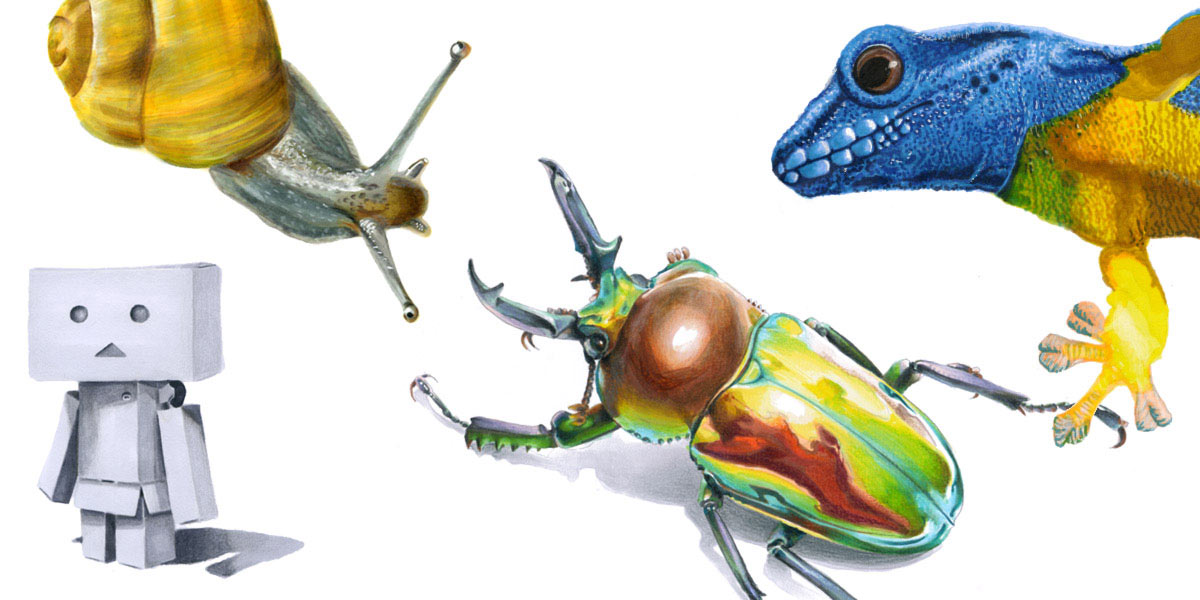 Sommerakademie - Kurs Illustration kennenlernen - Zeichnen lernen mit Scribble- und Markertechniken