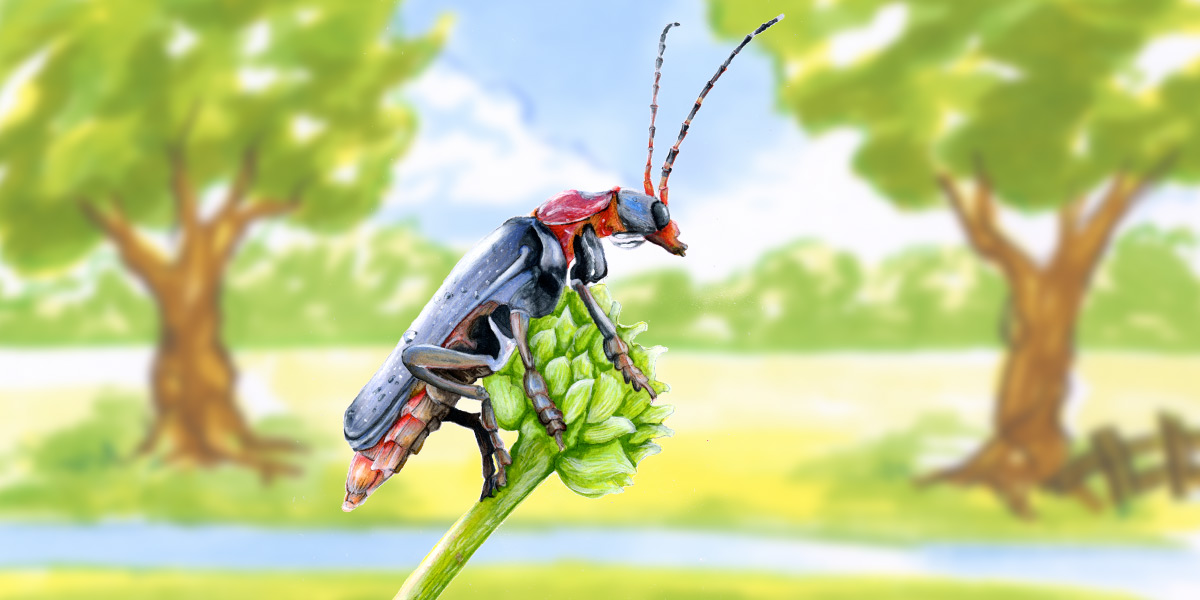 AID Berlin - Akademie für Illustration und Design - Vorstudium Design